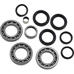 Differential Bearing Seal Kit