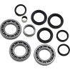 Differential Bearing Seal Kit