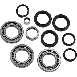 Differential Bearing Seal Kit