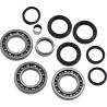 Differential Bearing Seal Kit