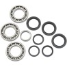 Bearing Seal Kit