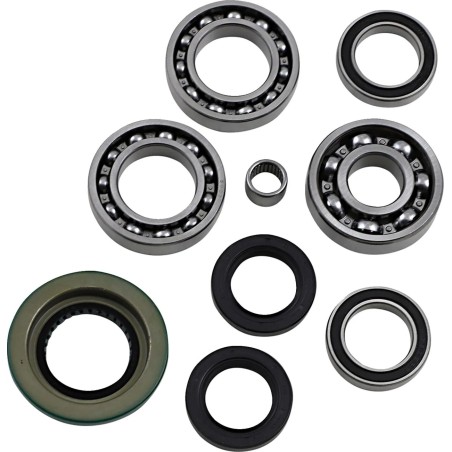 Differential Bearing Seal Kit