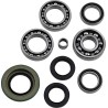 Differential Bearing Seal Kit