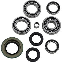 Differential Bearing Seal Kit