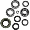 Differential Bearing Seal Kit
