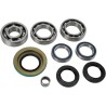 Bearing Seal Kit