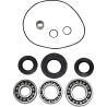 Differential Bearing Seal Kit