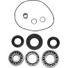 Differential Bearing Seal Kit