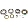 Bearing Seal Kit