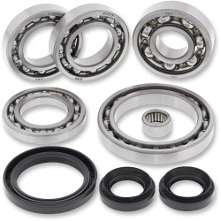 Bearing Seal Kit