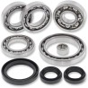 Bearing Seal Kit