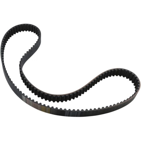 Rear Drive Belt