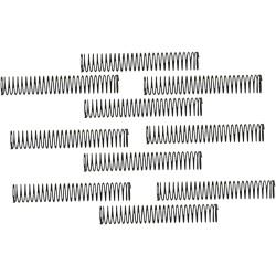 Oil Pump Check Valve Spring