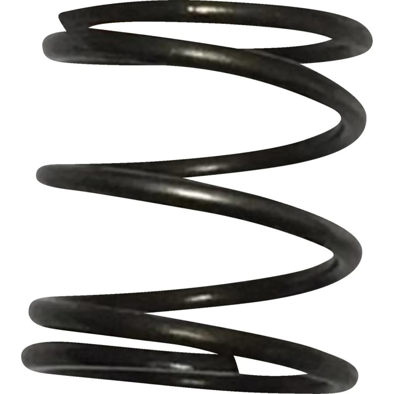 Pushrod Cover Spring