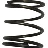 Pushrod Cover Spring