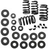 0.585  Valve Spring Kit