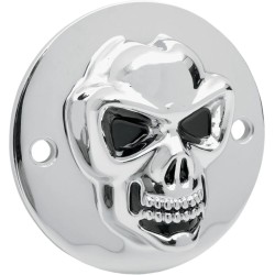 3-D Skull Points Cover