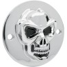 3-D Skull Points Cover