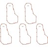 Primary Gasket
