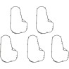 Primary Gasket