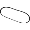 Rear Drive Belt