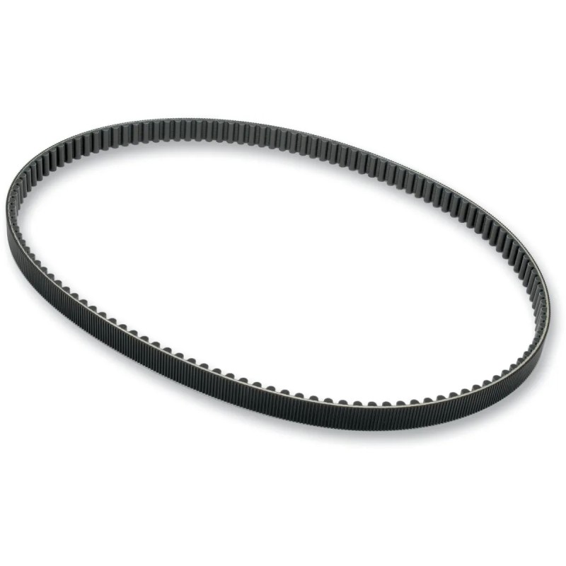 Rear Drive Belt