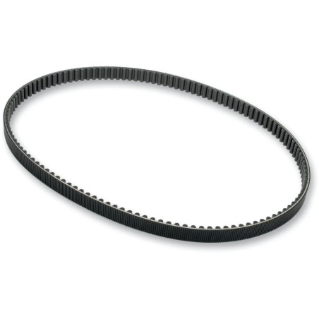 Rear Drive Belt