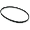 Rear Drive Belt