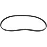 24 mm Rear Drive Belt