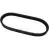G-Force RedLine  Drive Belt