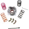 Pro Series Clutch Kits