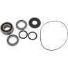 Bearing Seal Kit