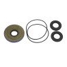 Differential Seal Kit