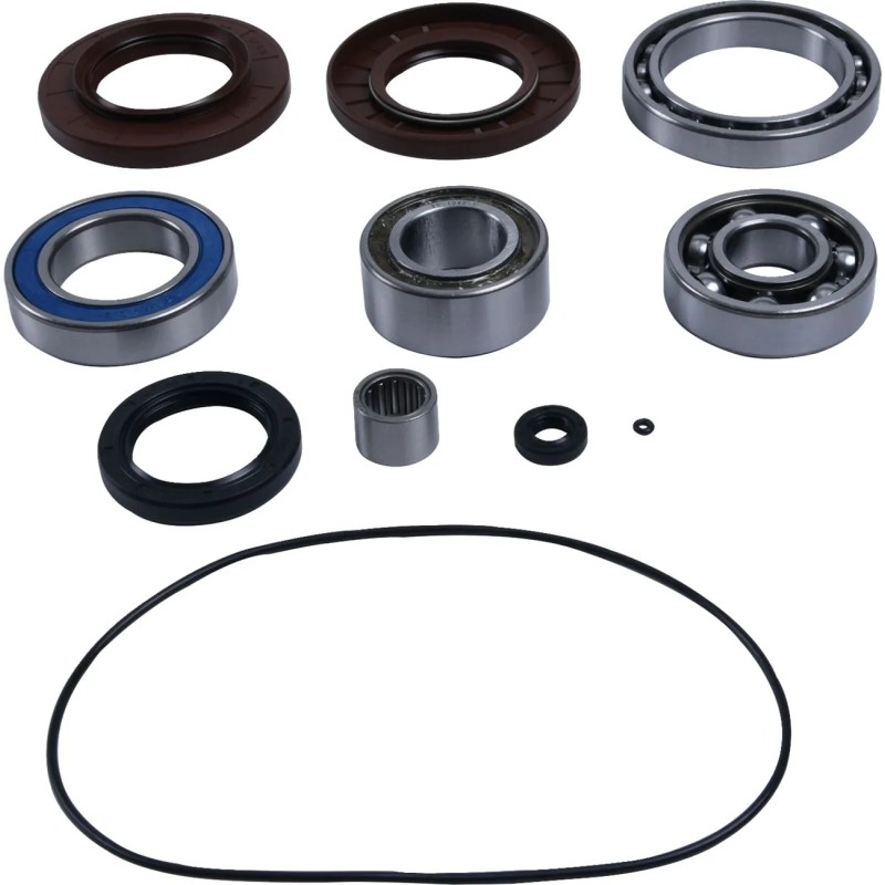 Differential Bearing Seal Kit