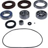 Differential Bearing Seal Kit