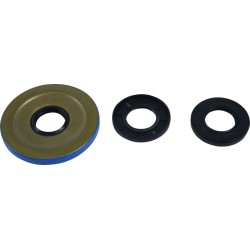 Differential Bearing Seal Kit