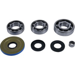 Differential Bearing Seal Kit