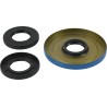 Differential Bearing Seal Kit