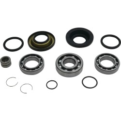 Differential Bearing Seal Kit