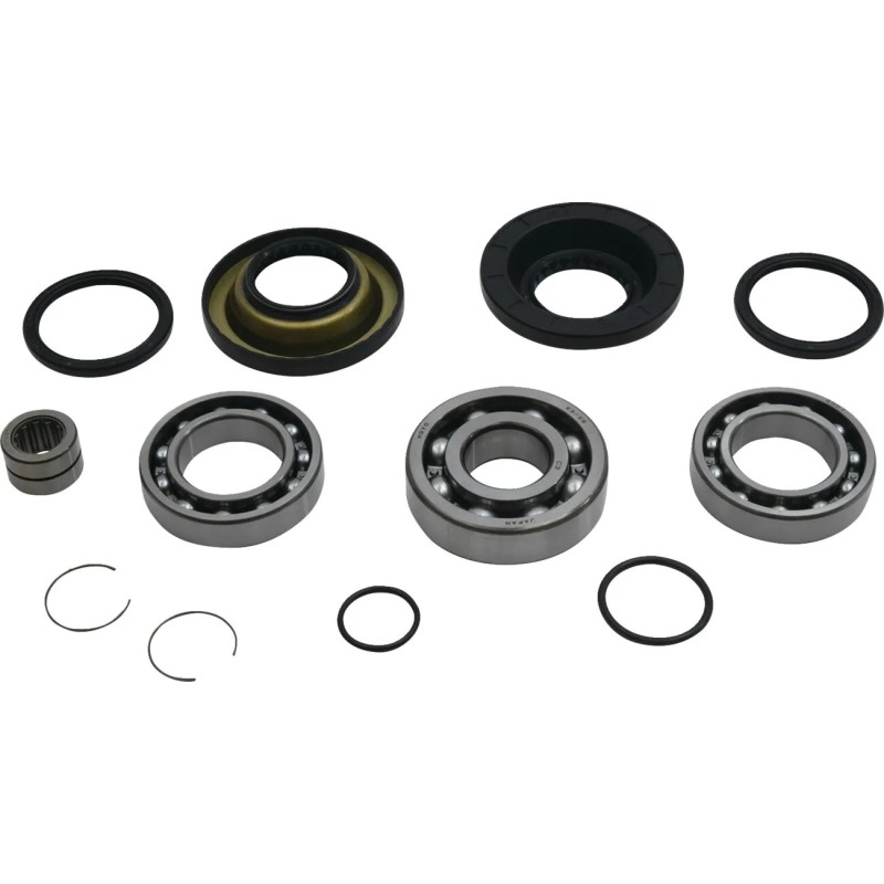 Differential Bearing Seal Kit