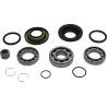 Differential Bearing Seal Kit