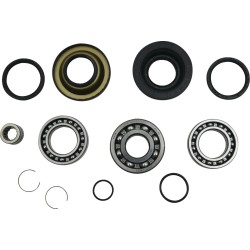 Differential Bearing Seal Kit