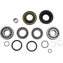 Differential Bearing Seal Kit