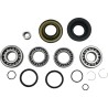 Differential Bearing Seal Kit