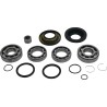 Differential Bearing Seal Kit