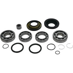 Differential Bearing Seal Kit