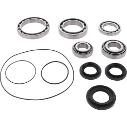 Differential Bearing Seal Kit