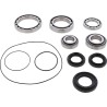 Differential Bearing Seal Kit