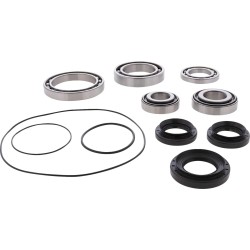 Differential Bearing Seal Kit