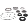 Differential Bearing Seal Kit